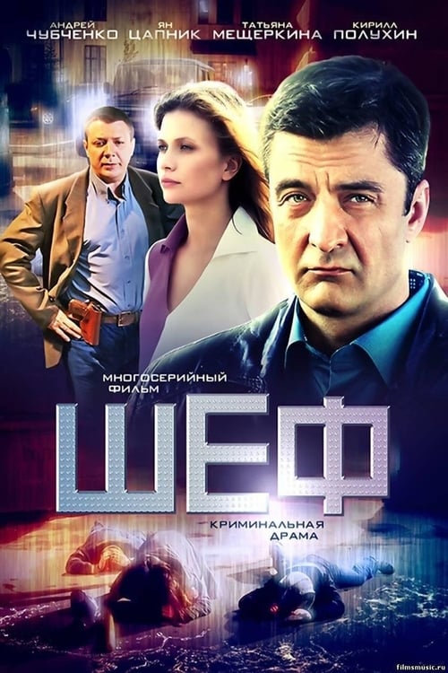 Шеф / Шефът Сезон 1 – 7