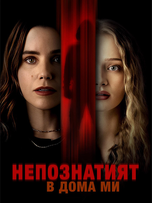 The Stranger in My Home / Непознатият в дома ми